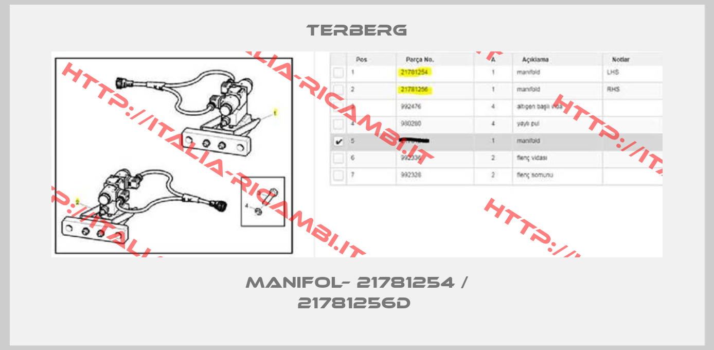 TERBERG-MANIFOL– 21781254 / 21781256D 