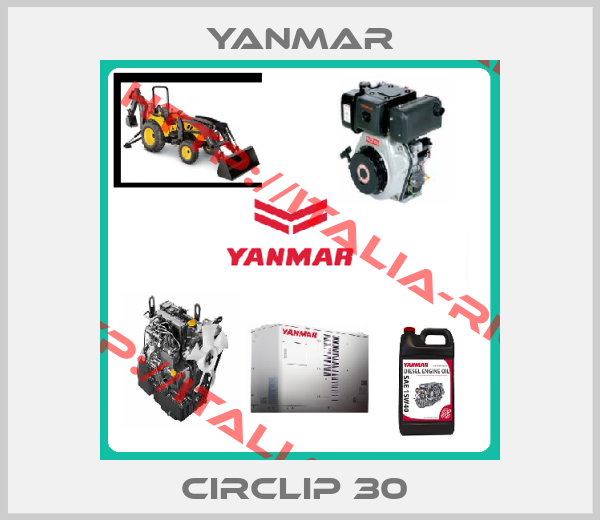 Yanmar-circlip 30 