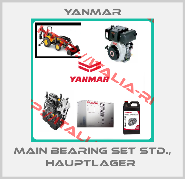 Yanmar-main bearing set Std., Hauptlager 