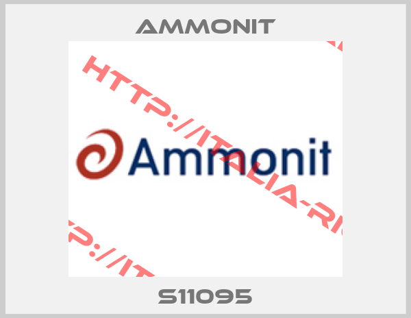 Ammonit-S11095