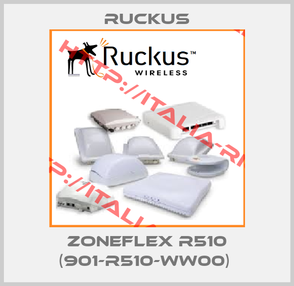 Ruckus-ZoneFlex R510 (901-R510-WW00) 