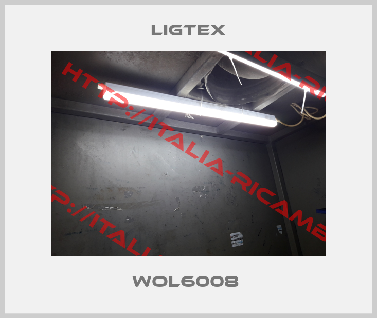 LIGTEX-WOL6008 