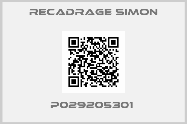RECADRAGE SIMON-P029205301 