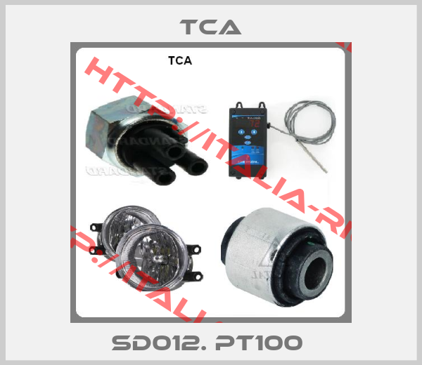 TCA-SD012. PT100 