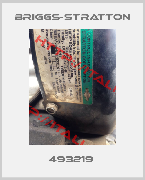 Briggs-Stratton-493219 