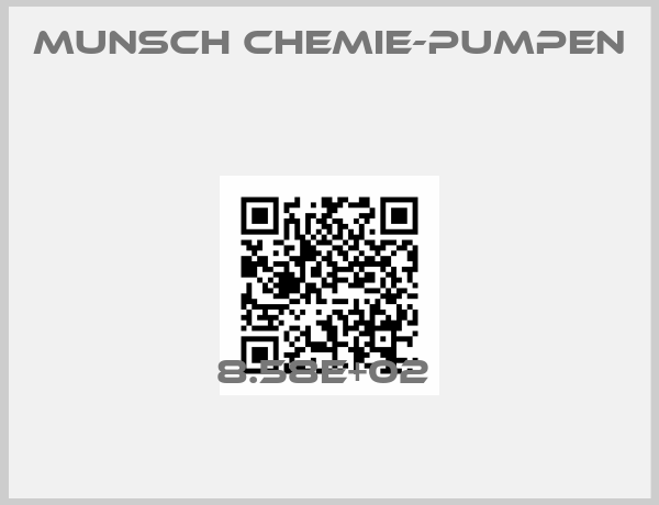 Munsch Chemie-Pumpen -8.58E+02 