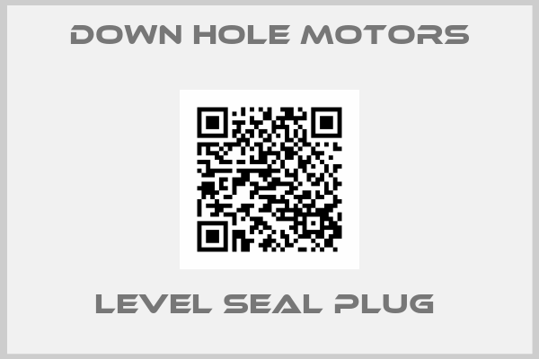 Down Hole Motors-LEVEL SEAL PLUG 