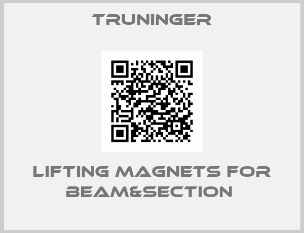 Truninger-LIFTING MAGNETS FOR BEAM&SECTION 
