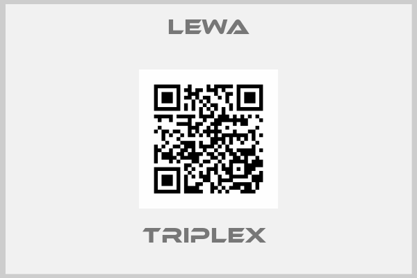 LEWA-Triplex 