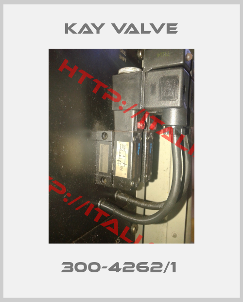 Kay Valve-300-4262/1 