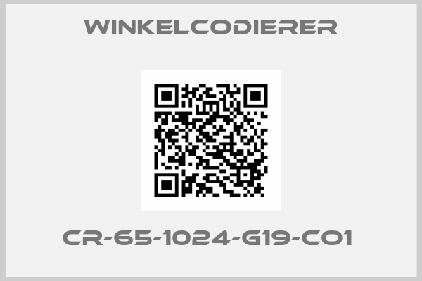 WINKELCODIERER-CR-65-1024-G19-CO1 