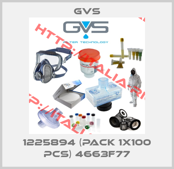 GVS-1225894 (pack 1x100 pcs) 4663F77