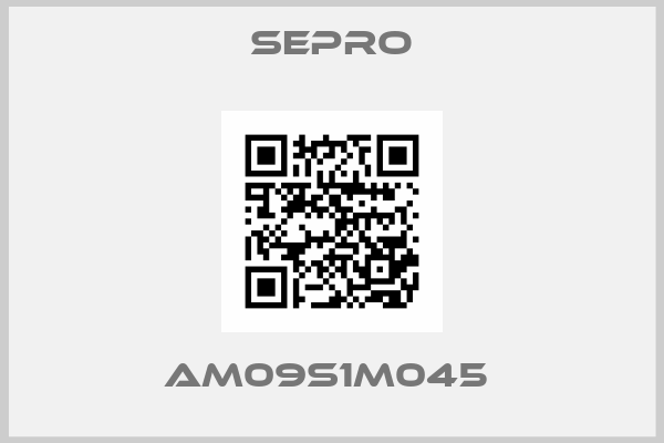SEPRO-AM09S1M045 