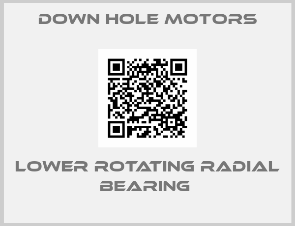 Down Hole Motors-LOWER ROTATING RADIAL BEARING 
