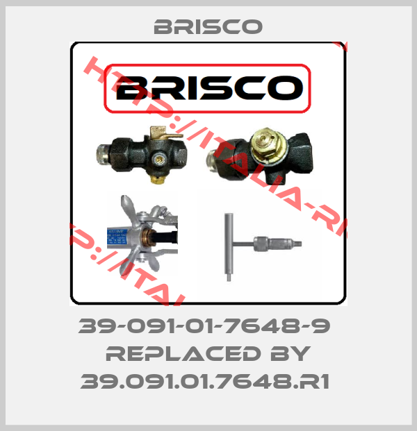 BRISCO-39-091-01-7648-9  replaced by 39.091.01.7648.R1 