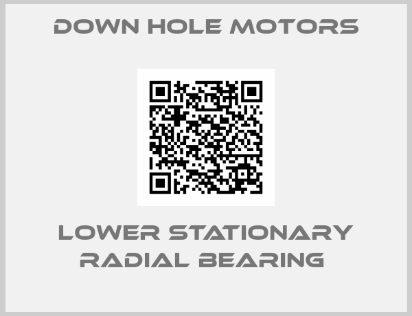 Down Hole Motors-LOWER STATIONARY RADIAL BEARING 
