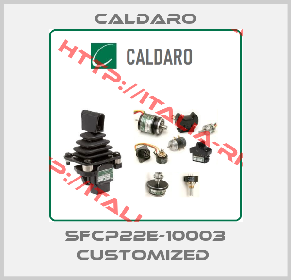 Caldaro-SFCP22E-10003 customized 