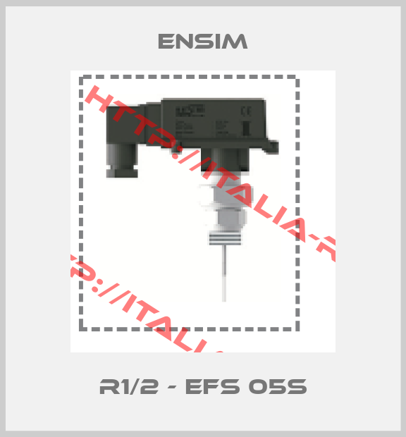 Ensim-R1/2 - EFS 05s