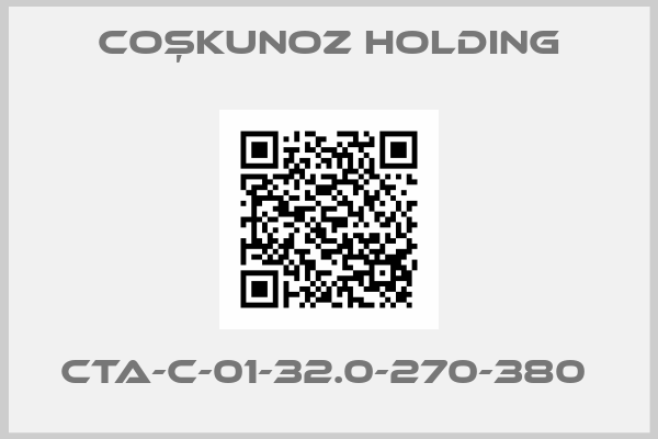 Coşkunoz Holding-CTA-C-01-32.0-270-380 