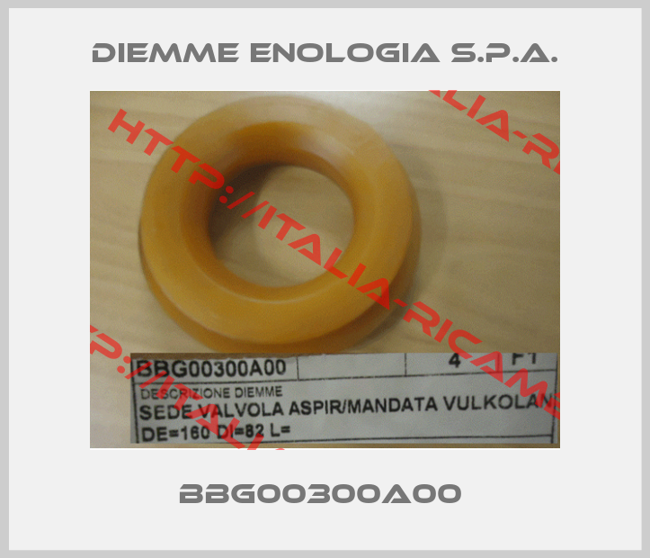 DIEMME Enologia S.p.A.-BBG00300A00 