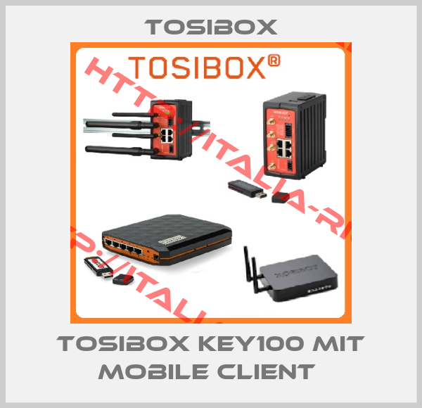 Tosibox-Tosibox Key100 mit Mobile Client 
