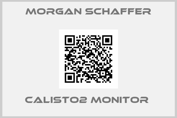 Morgan Schaffer-Calisto2 Monitor 