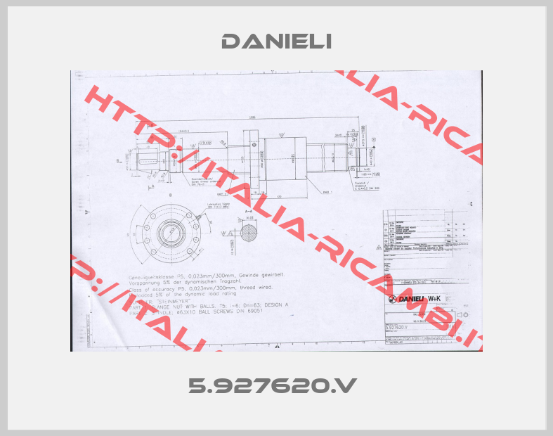 Danieli-5.927620.V 