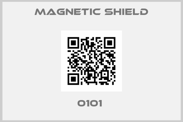 Magnetic Shield-0101 