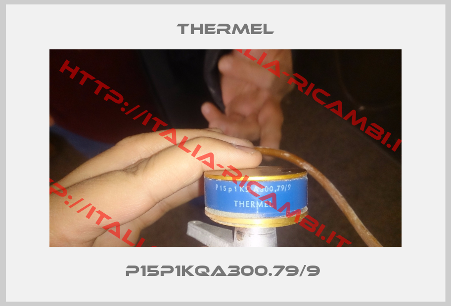 Thermel-P15p1KQA300.79/9 