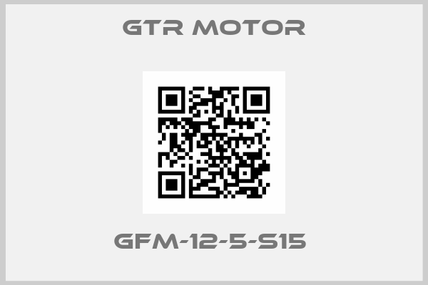 GTR MOTOR-GFM-12-5-S15 