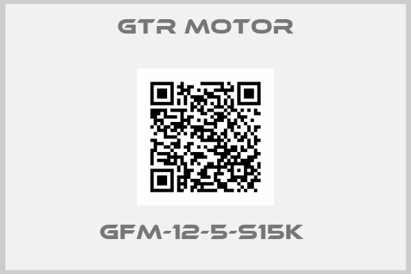 GTR MOTOR-GFM-12-5-S15K 