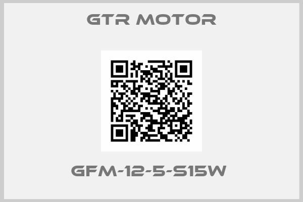 GTR MOTOR-GFM-12-5-S15W 