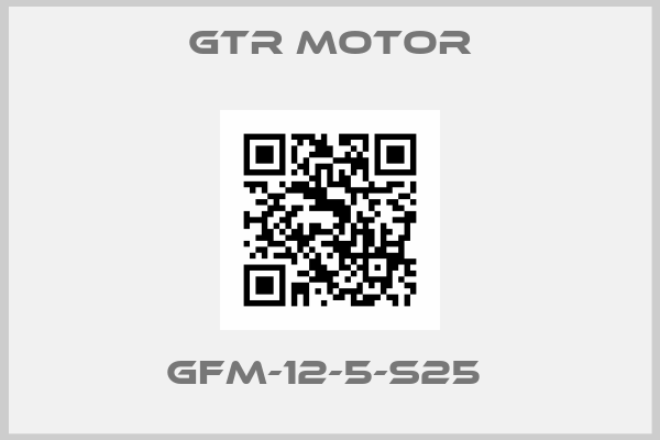 GTR MOTOR-GFM-12-5-S25 