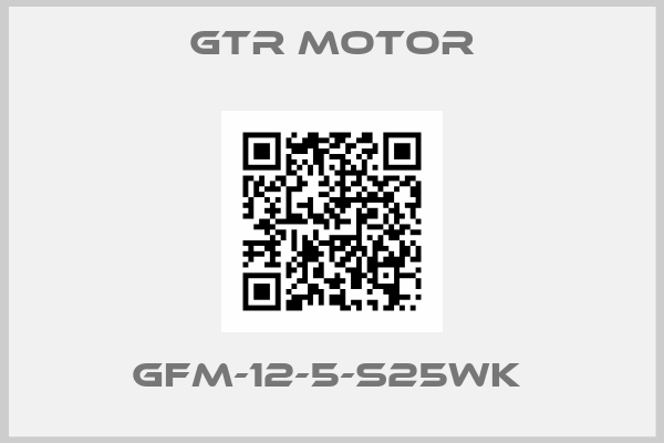 GTR MOTOR-GFM-12-5-S25WK 