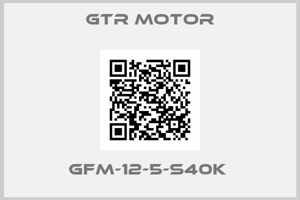 GTR MOTOR-GFM-12-5-S40K 