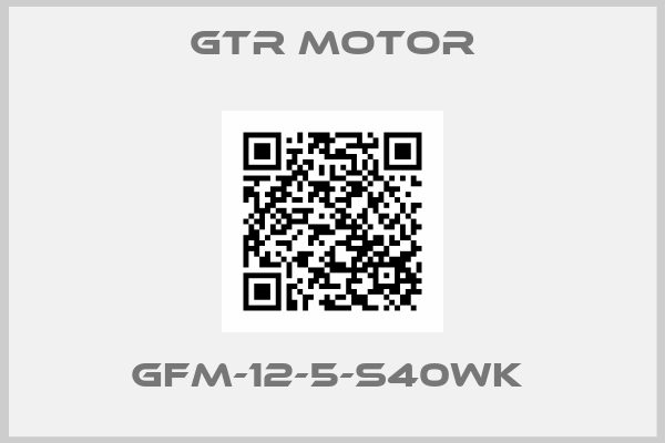 GTR MOTOR-GFM-12-5-S40WK 