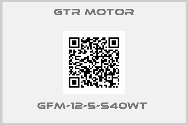 GTR MOTOR-GFM-12-5-S40WT 