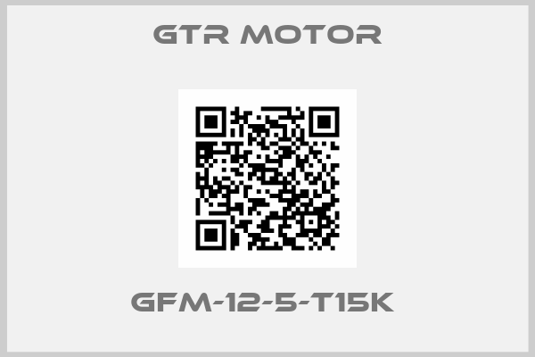 GTR MOTOR-GFM-12-5-T15K 