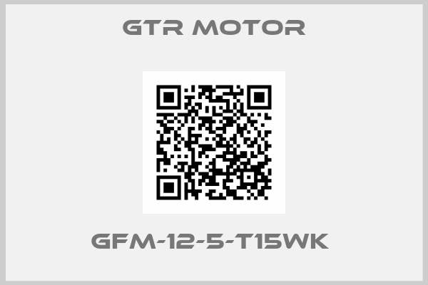 GTR MOTOR-GFM-12-5-T15WK 