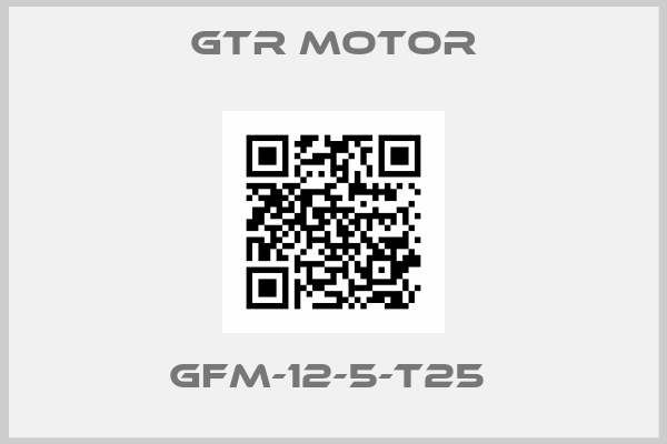 GTR MOTOR-GFM-12-5-T25 