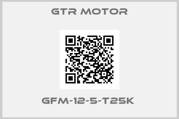 GTR MOTOR-GFM-12-5-T25K 