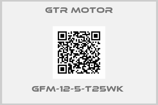 GTR MOTOR-GFM-12-5-T25WK 
