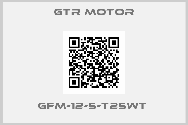 GTR MOTOR-GFM-12-5-T25WT 