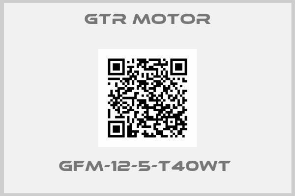 GTR MOTOR-GFM-12-5-T40WT 