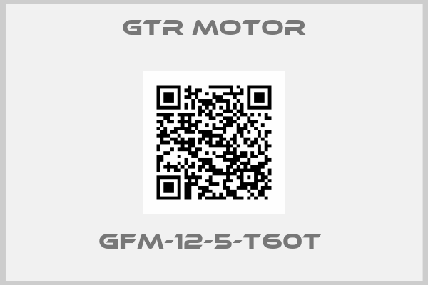 GTR MOTOR-GFM-12-5-T60T 
