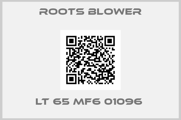 ROOTS BLOWER-LT 65 MF6 01096 