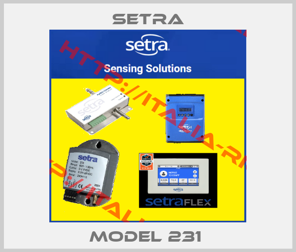 Setra-Model 231 