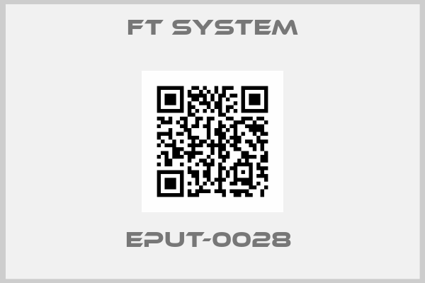 FT SYSTEM-EPUT-0028 