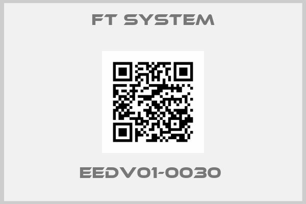 FT SYSTEM-EEDV01-0030 