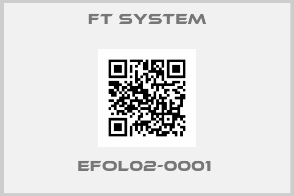 FT SYSTEM-EFOL02-0001 